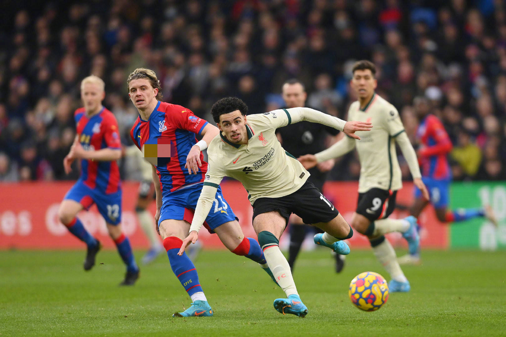 检察官指出 检察官指出